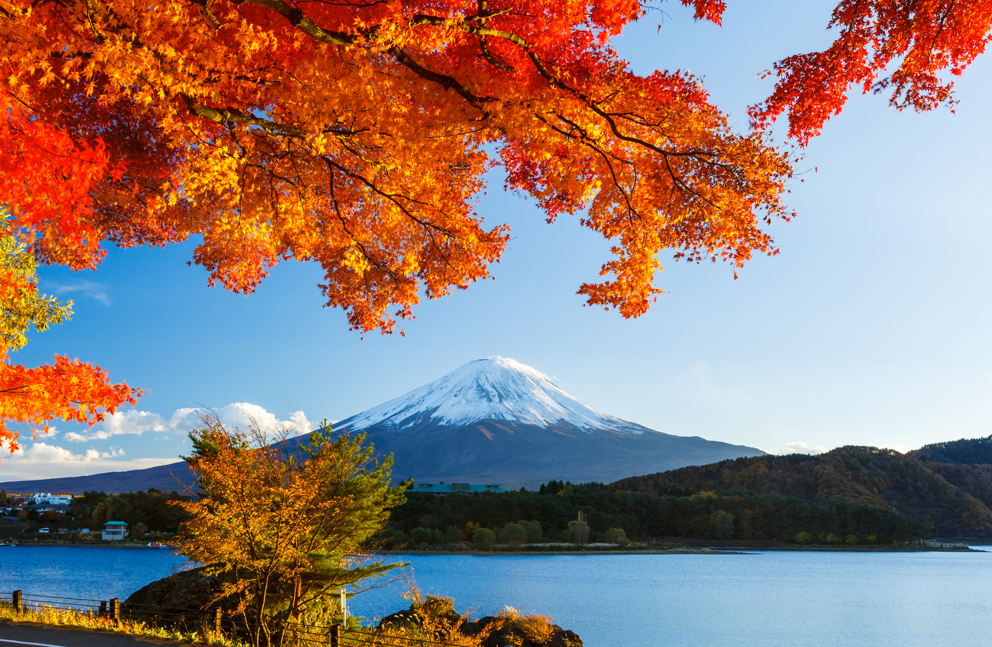 Tokyo